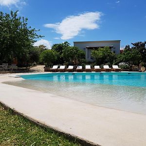 Apartment Pool View